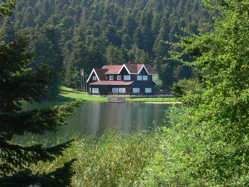 Galeri Görseli