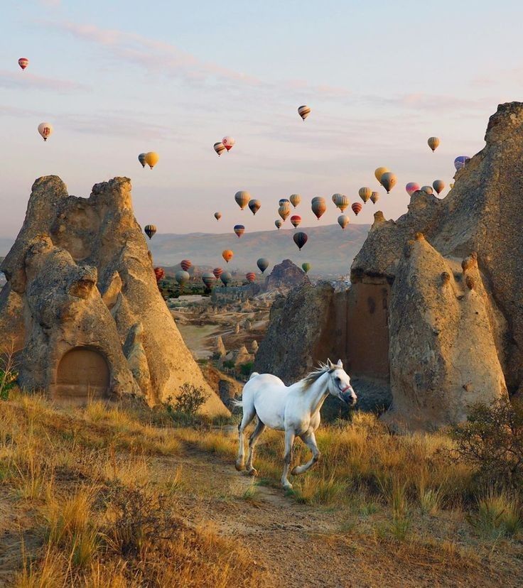 ANTALYA ÇIKIŞLI 1 GECE KONAKLAMALI KAPADOKYA TURU 