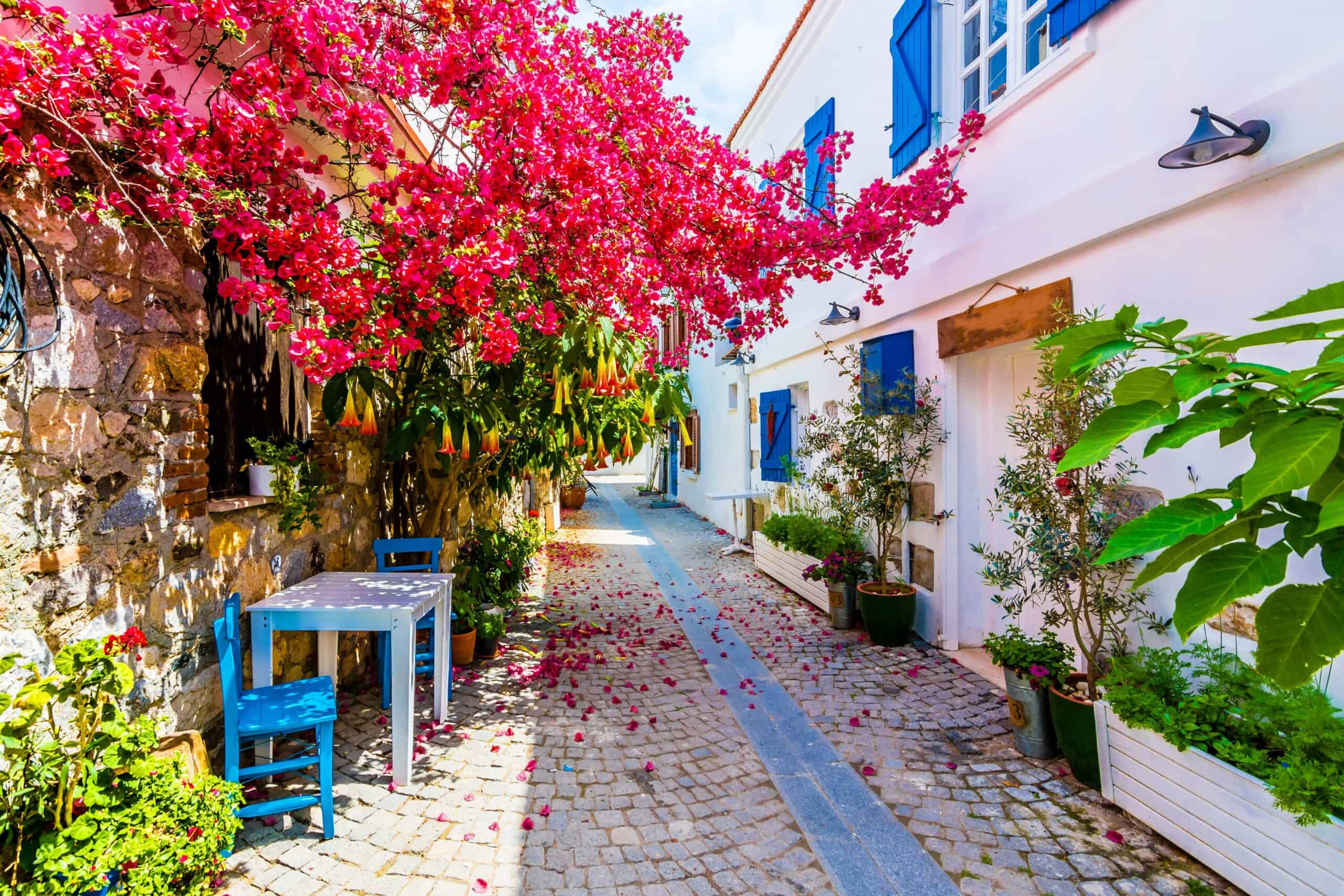 DENİZLİ ÇIKIŞLI ALAÇATI OT FESTİVALİ TURU